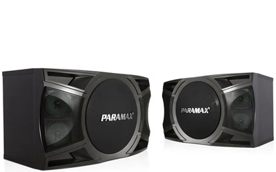 Loa Paramax P1000 